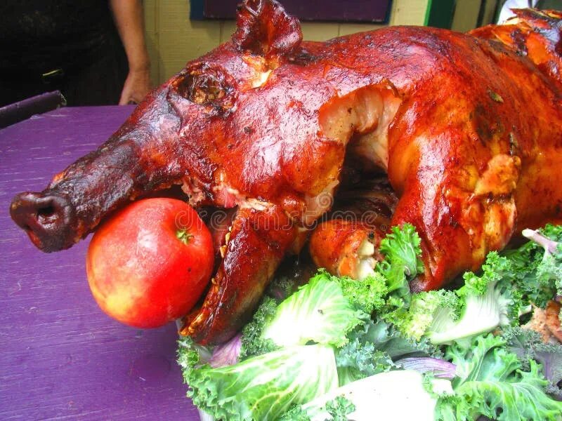 Поросенок в яблоках фото Apple Stuffed Pig on Lettuce Stock Image - Image of nose, center: 92966787