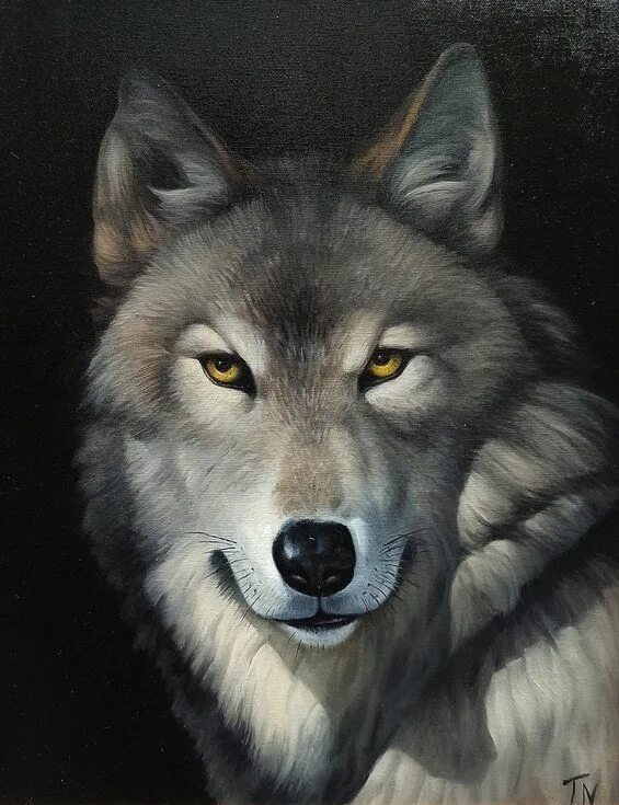 Портрет волка фото Wolf portrait (40x50cm, oil painting, ready to hang) (2020) Oil painting by Serg