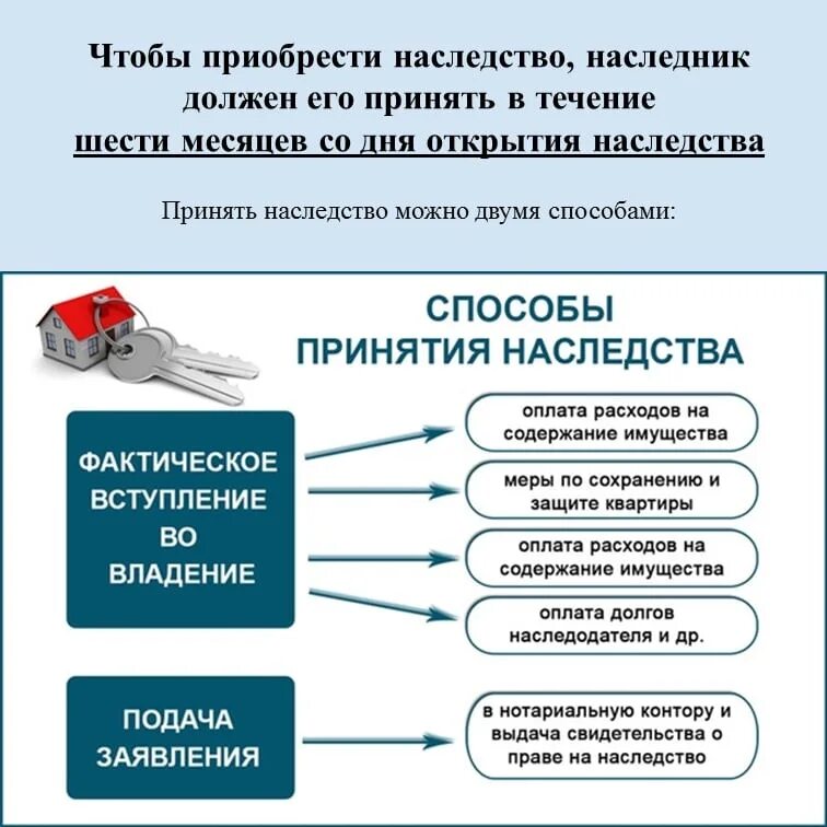 Порядок оформления наследства квартиры Как оформить наследство в условиях пандемии Система права