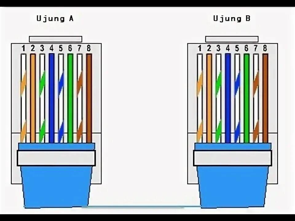 Порядок подключения проводов интернет Pembuatan Kabel RJ45 - YouTube