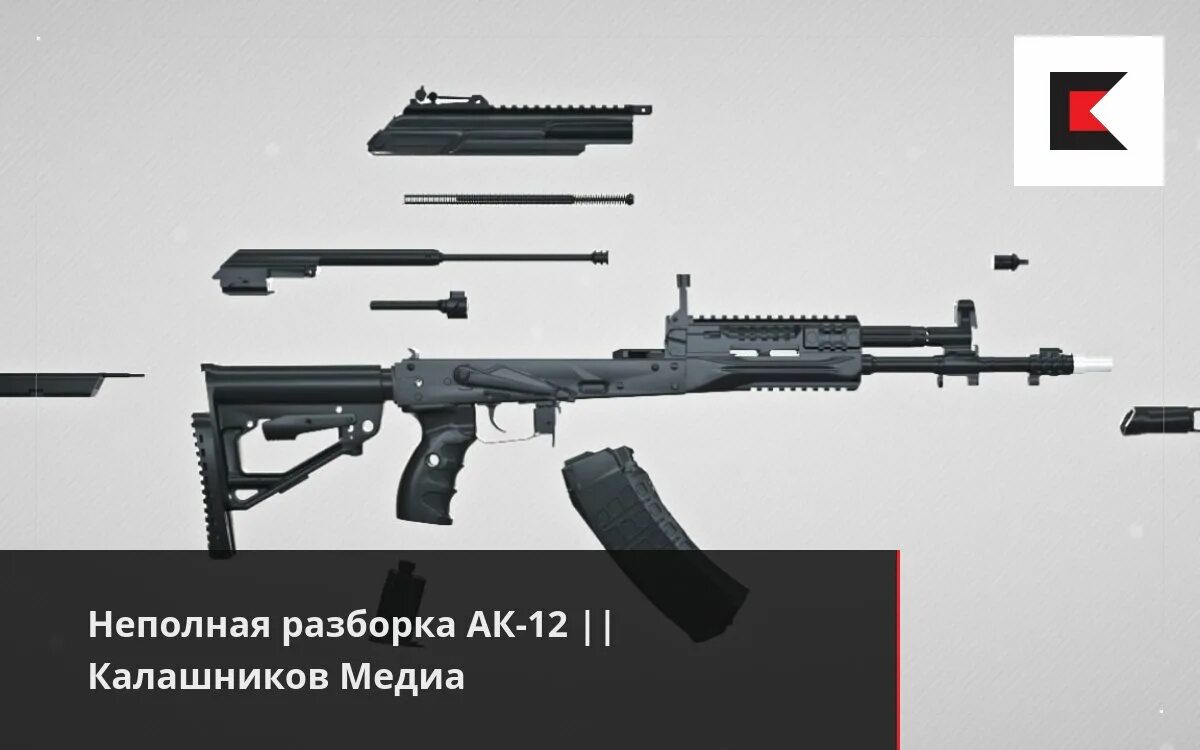 Порядок разборки ак 12 Неполная разборка АК-12 Калашников Медиа