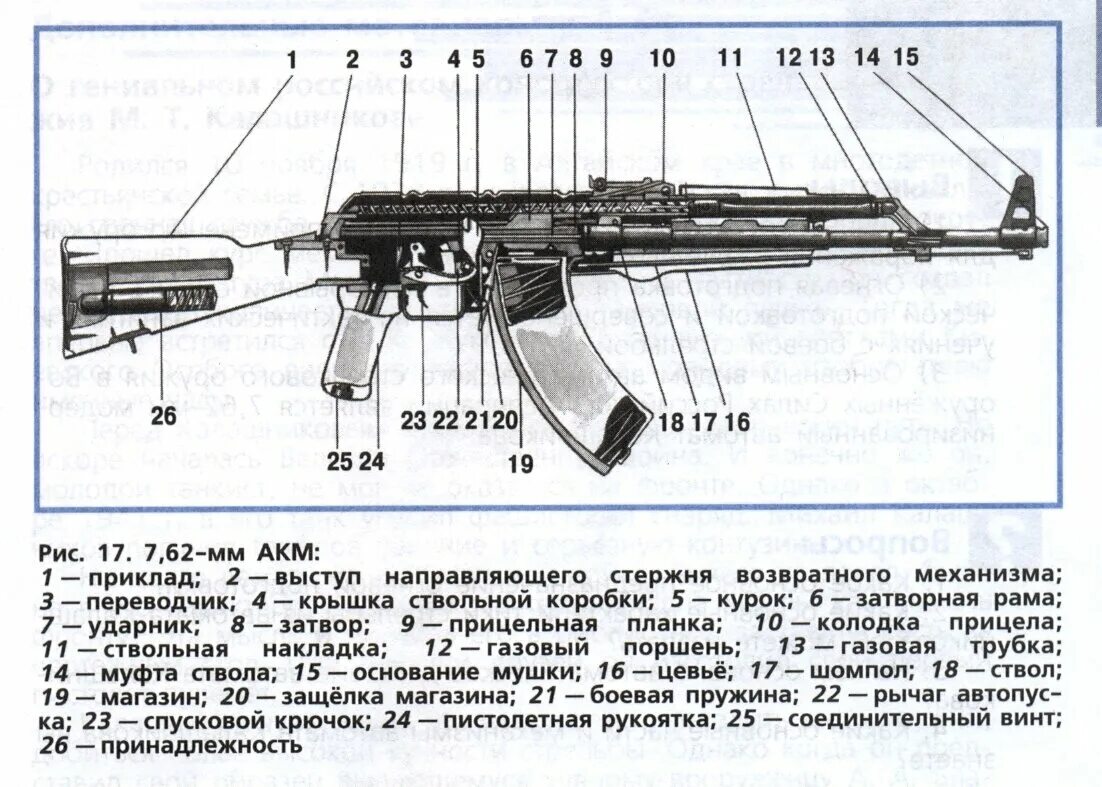 Порядок разборки акм Автомат Калашникова. Оружие Легенда Занимательная Техника Дзен