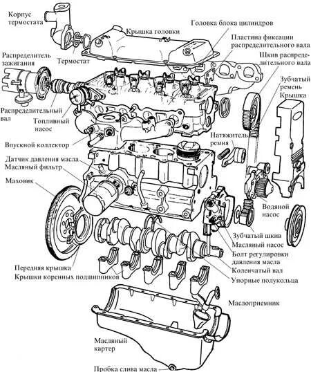 Порядок разборки дизеля Руководство по ремонту Ford Escort (Форд Эскорт) 1980-1990 г.в. 3.6.1 Обслуживан