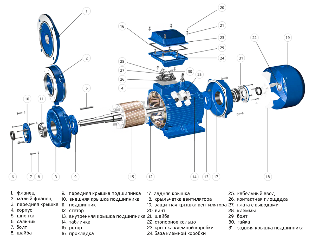 Порядок разборки электродвигателя Электродвигатели асинхронные АИР, 5АИ