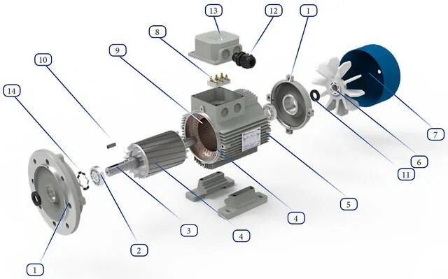 Порядок разборки электродвигателя Электродвигатели однофазные. Исполнение- на лапах и с фланцем., цена 1920 грн в 