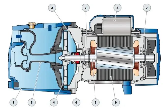 Порядок разборки насоса Лучшие поверхностные насосы Pedrollo (Педролло) JSWm 2CX. Самовсасывающий насос 