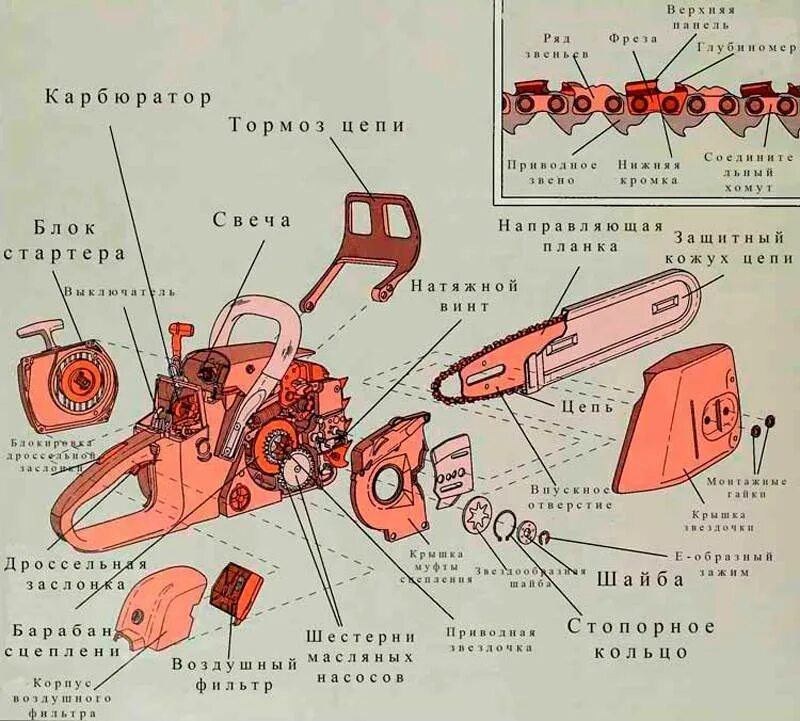 Порядок сборки бензопилы Работа бензопилой и особенности эксплуатации