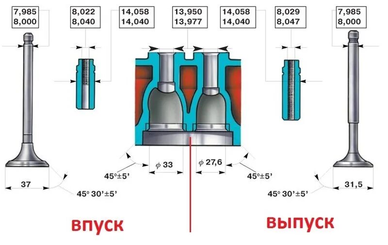 Порядок сборки клапанов Решил потихоньку начинать капиталить вторую голову. - Volkswagen Passat Variant 