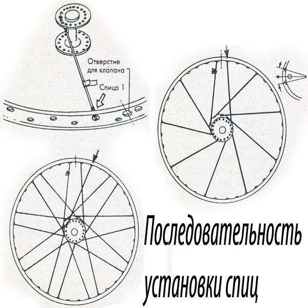 Порядок сборки колеса Как спицевать колесо велосипеда: найдено 89 изображений