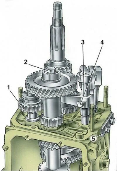 Порядок сборки коробки ваз Features of the repair of a five-speed gearbox (VAZ-21051 "Zhiguli" 1979-2010 / 