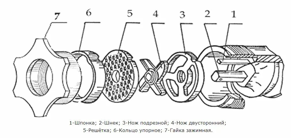 Порядок сборки мясорубки для крупного измельчения Мясорубка Торгмаш МИМ-80 - купить в Москве, цена и описание в интернет магазине 