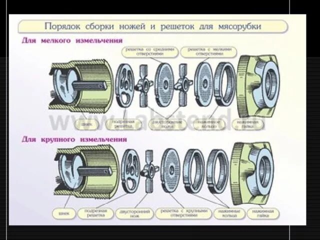 Порядок сборки мясорубки для крупного измельчения "Машины для обработки мяса и рыбы" - прочее, презентации