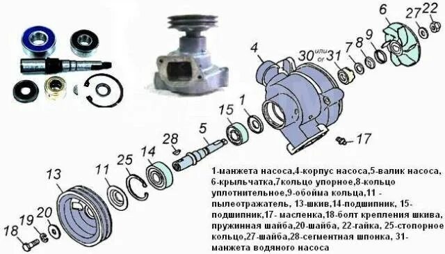 Порядок сборки помпы камаз 5320 Токарь + агрегатчик. Ремонт: Помп, Карданов и т. д. ремонт ходовой част, легковы