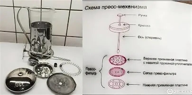 Порядок сборки после ремонта Как промыть сеточку (пресс-фильтр) френч-пресса?