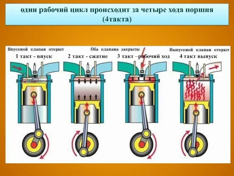 Порядок сборки разборки четырехтактного карбюраторного двигателя классика Поршневые тепловые двигатели