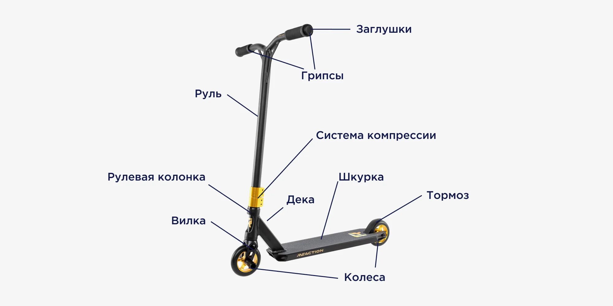 Порядок сборки самоката Как выбрать трюковый самокат: советы по выбору трюкового самоката