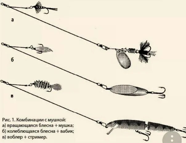 Основы спининговой ловли для начинаюших рыбаков. Все о Рыбалке Дзен