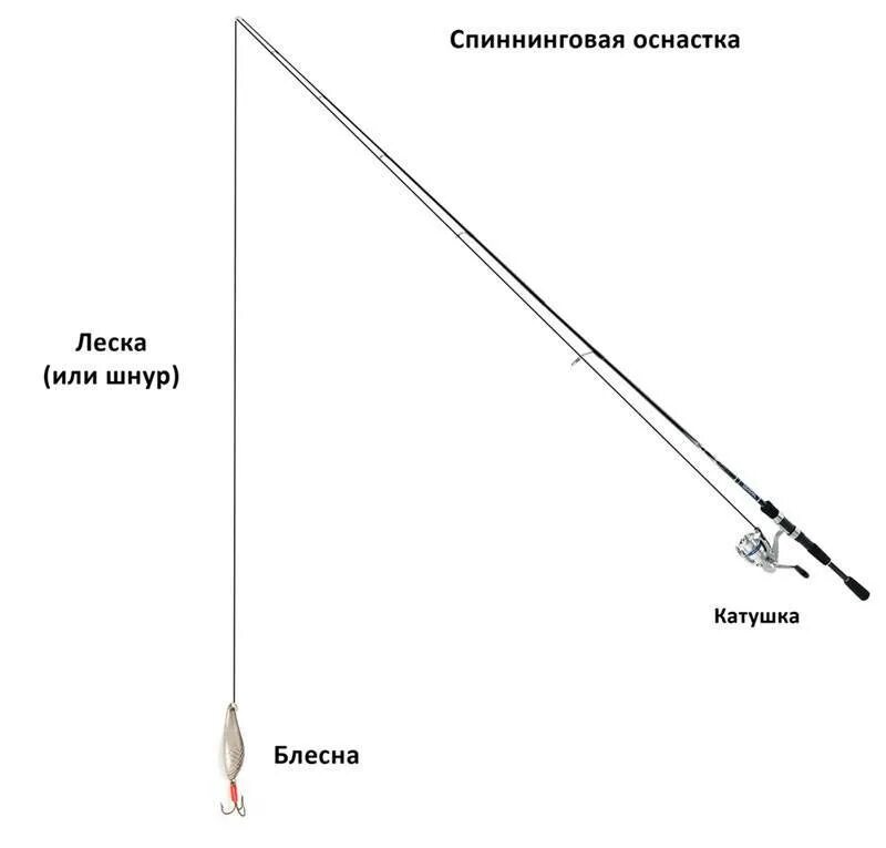 Порядок сборки спиннинга Оснастка спиннинга на щуку для начинающих, как правильно собрать снасть для ловл