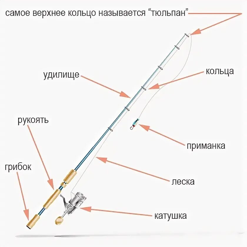 Порядок сборки спиннинга Как выбрать спиннинг новичку Спиннинг, Самодельные рыболовные приманки, Рыбалка