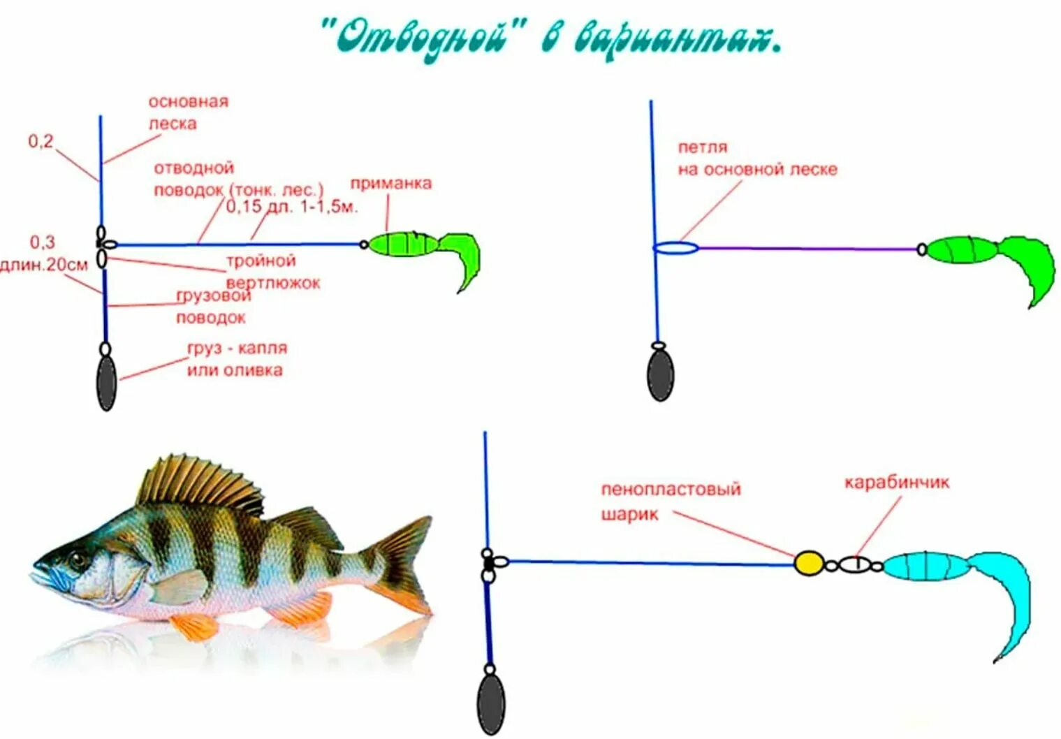 Порядок сборки спиннинга Ловля окуня оснастки