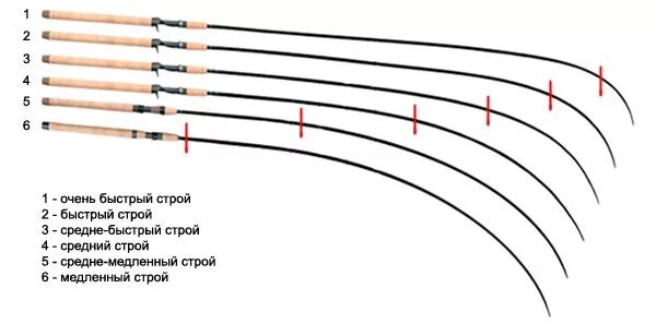 Порядок сборки спиннинга Купить спиннинг. Большой каталог спиннингов