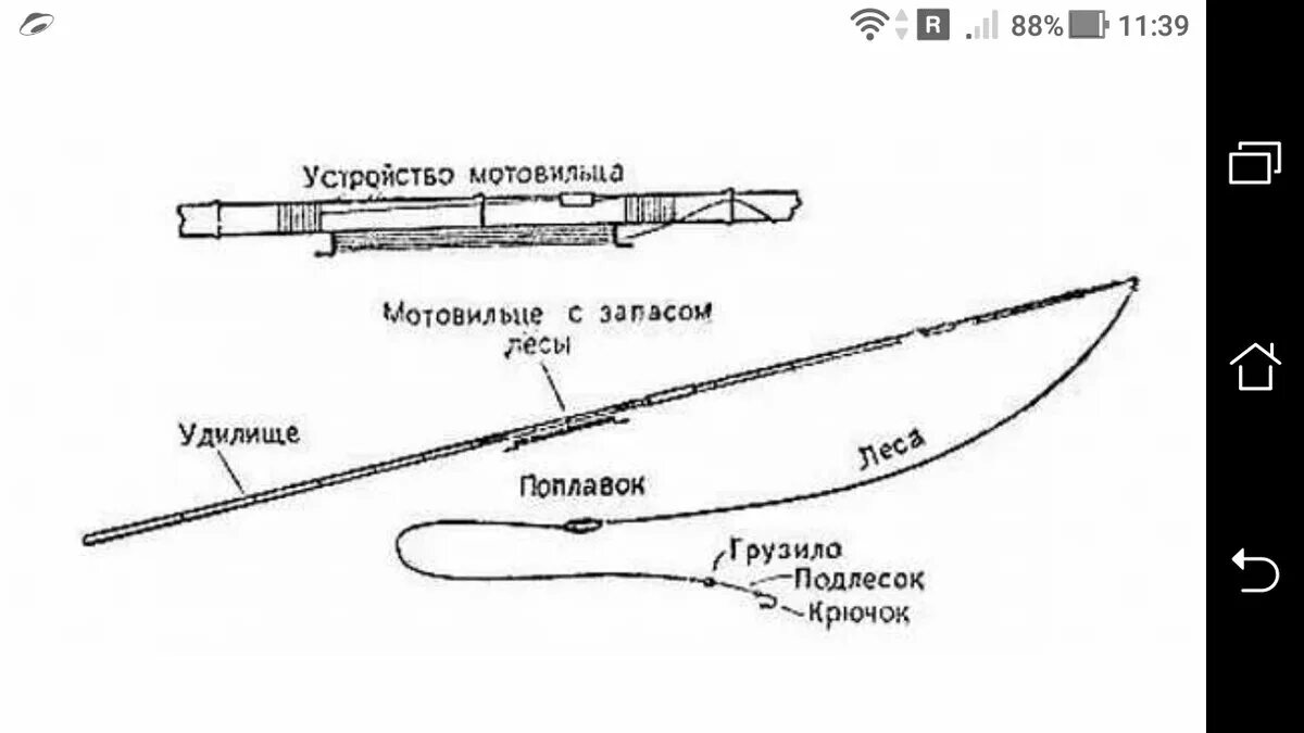 Основы спининговой ловли для начинаюших рыбаков. Все о Рыбалке Дзен