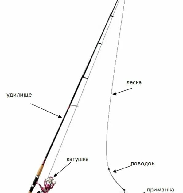 Порядок сборки спиннинга поэтапно Основы спининговой ловли для начинаюших рыбаков. Все о Рыбалке Дзен