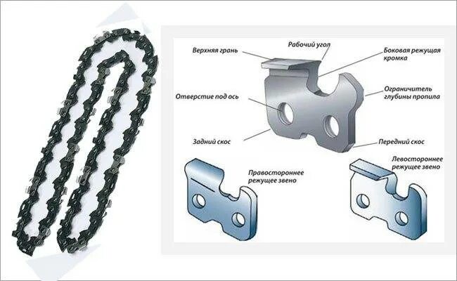 Порядок сборки цепи Направление цепи бензопилы фото - DelaDom.ru