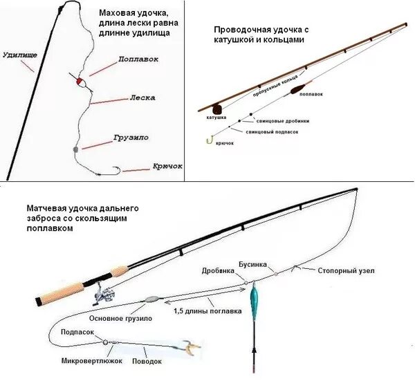 Порядок сборки удочки Ответы Mail.ru: чем отличается удочка от удилища?