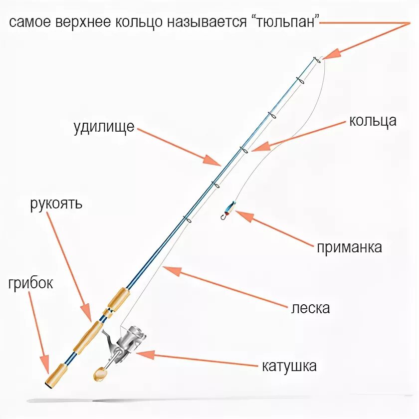 Порядок сборки удочки Как выбрать спиннинг новичку