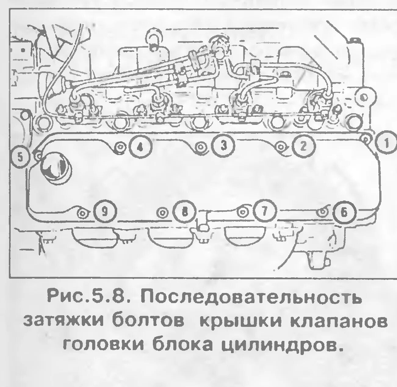 Порядок затяжки болтов клапанной крышки м57 Жрёт масло!!! - Страница 3 - Форум Форд Транзит