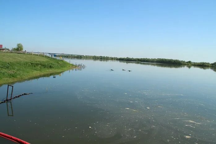 Пос николаевка затон омск фото Омичку, спасшую из воды ребенка, наградили в МЧС Омск-информ