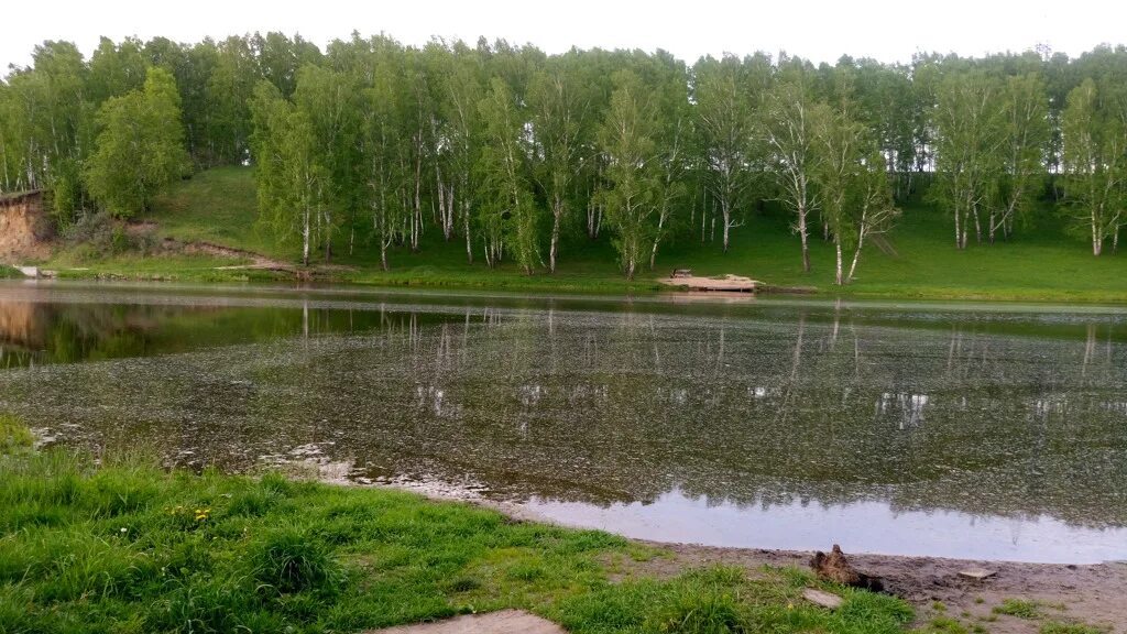 Пос заречный мошковский район октябрьский фото Участок поселок октябрьский: найдено 88 изображений