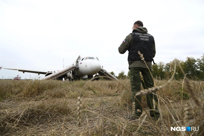 Посадили самолет фото Посадка самолета в поле: авиаэксперты Лукашевич и Романов проанализировали посад