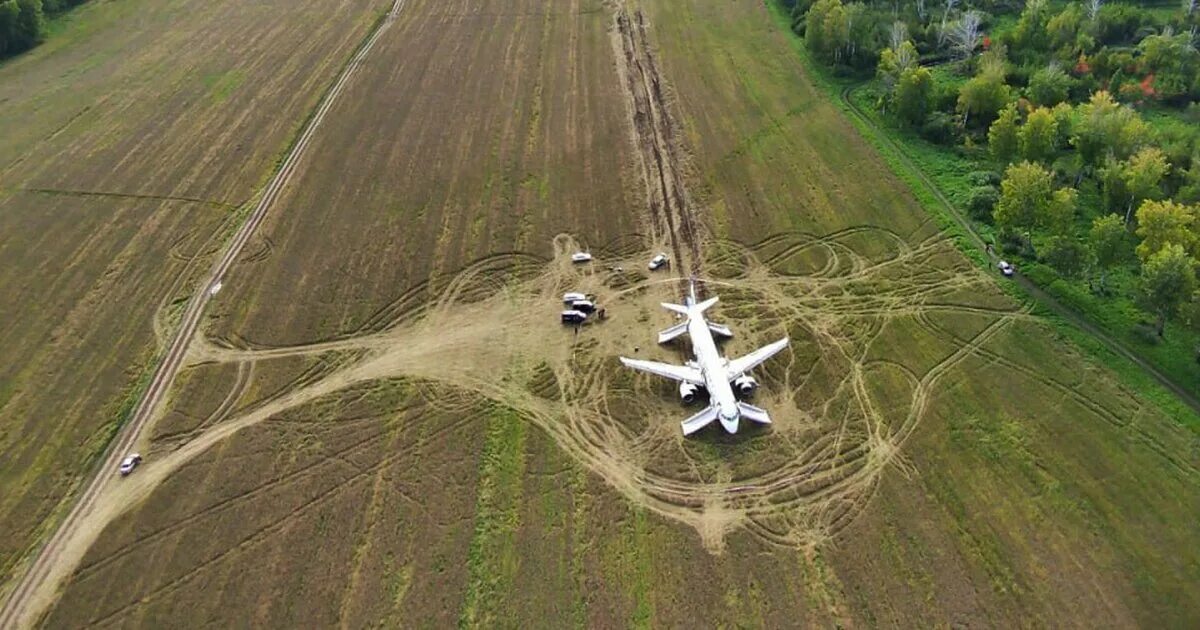 Посадили самолет фото Пилот Белов объяснил, почему посадил самолет в поле под Новосибирском - Москва 2