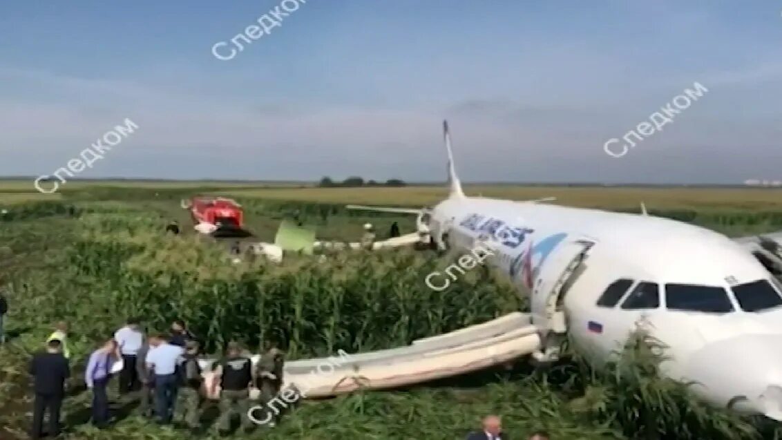 Посадили самолет фото Стали известны причины аварийной посадки самолёта на кукурузном поле - Вести Ура