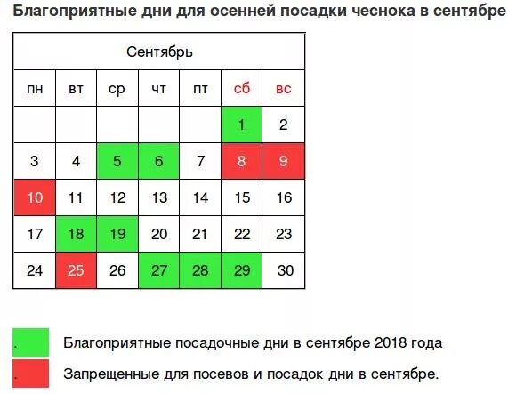 Посадить чеснок осенью по лунному календарю 2024 Календарь посадки озимого чеснока в 2024 году - TouristMaps.ru