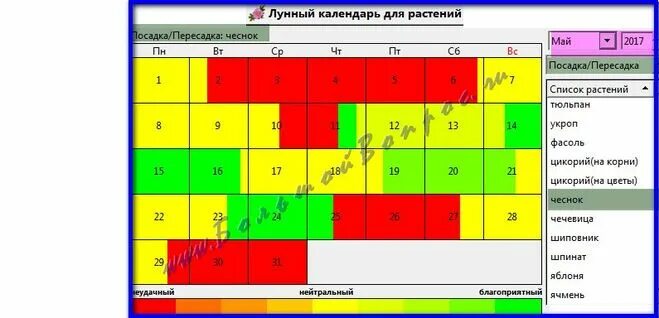 Посадить чеснок осенью по лунному календарю 2024 Когда сажать чеснок в 2020 году по лунному календарю Фитостудия-63.ру