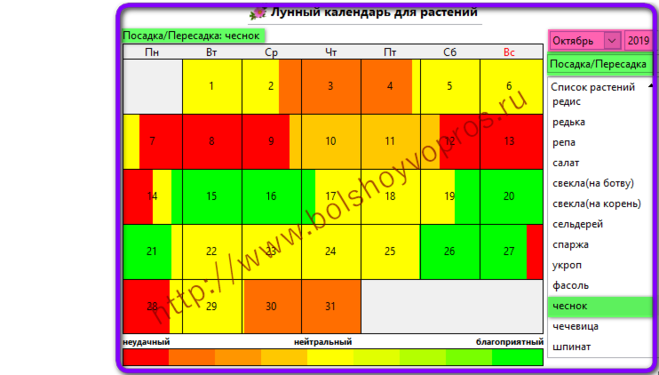 Посадить чеснок по лунному календарю в октябре Лунный календарь посадки чеснока весной: найдено 81 изображений