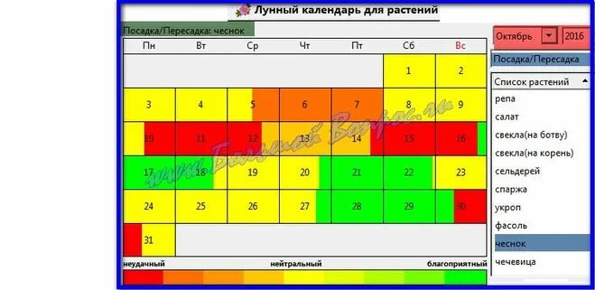 Посадить чеснок по лунному календарю в октябре Когда сажать чеснок под зиму в 2016 году по Лунному календарю?