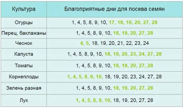 Посадить чеснок по лунному календарю в октябре Картинки ПЕРЕСАДКА ЦВЕТОВ В ОКТЯБРЕ 2023