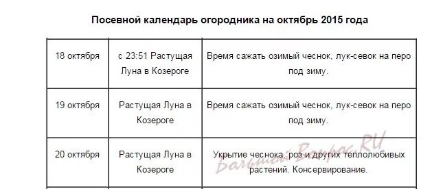 Посадить чеснок под зиму по лунному календарю Когда сажать чеснок под зиму в 2015 году по Лунному календарю?