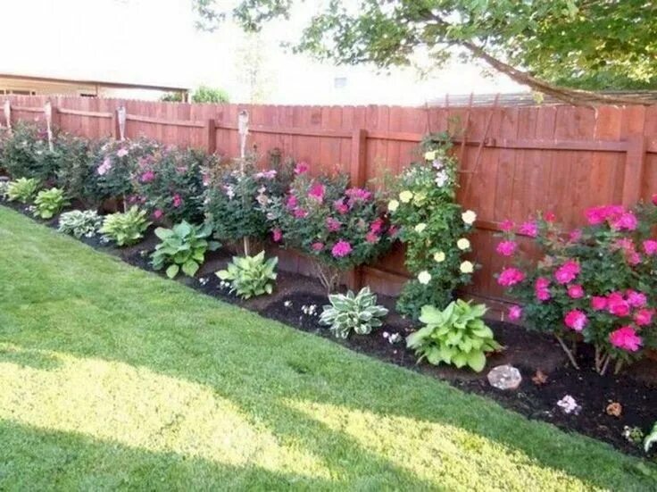 Посадить вдоль забора фото Budget-Friendly Flower Bed Landscape Ideas