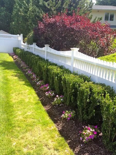 Посадить вдоль забора фото LINLA AWARD WINNING LONG ISLAND LANDSCAPE DESIGN & INSTALL Front lawn landscapin