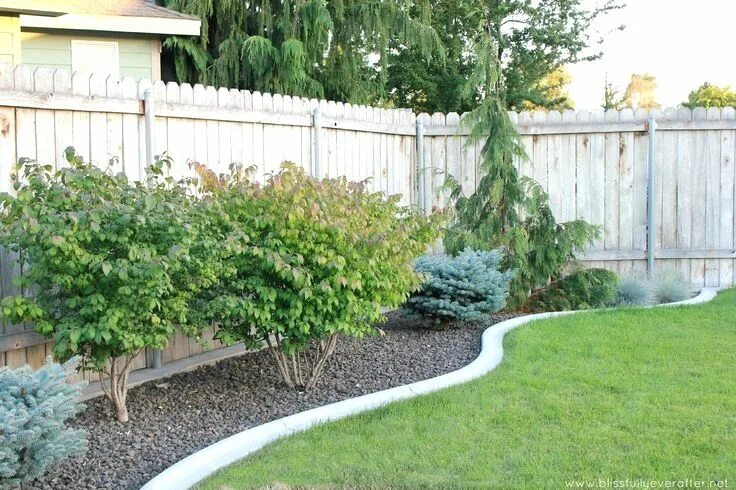 Посадить забором даче фото 33 Small Front Garden Designs To Get The Best Out Of Your Small Space Cheap land