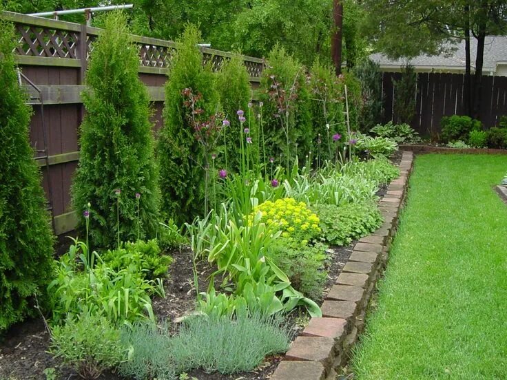 Посадить забором даче фото Картинки по запросу что посадить около туи Landscaping along fence, Fence landsc