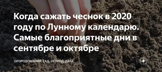 Посадка чеснока на зиму 2024 лунный календарь Посадка озимого чеснока в октябре благоприятные дни: найдено 90 изображений