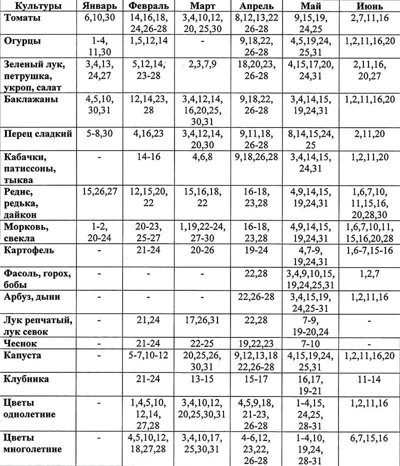 Посадка чеснока осенью по лунному календарю Когда сажать чеснок в 2021 году по лунному календарю: благоприятные дни