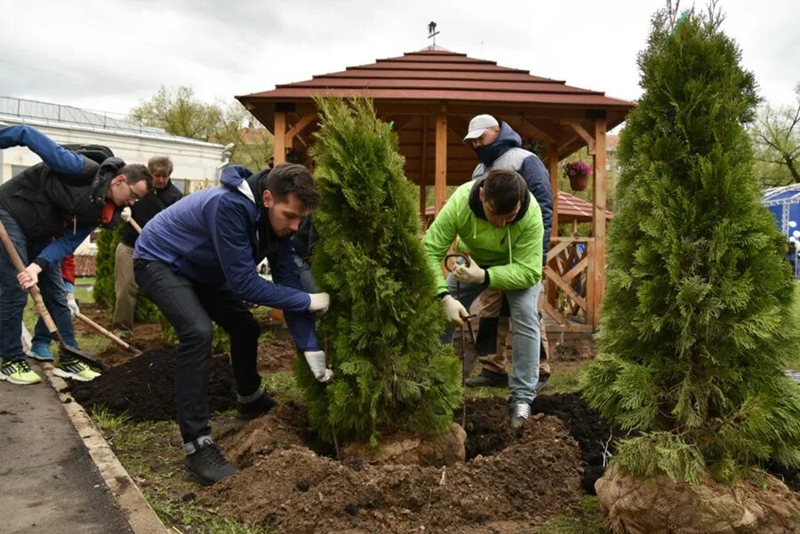 Посадка деревьев кустарников фото Новые кустарники высадят в Рязанском районе