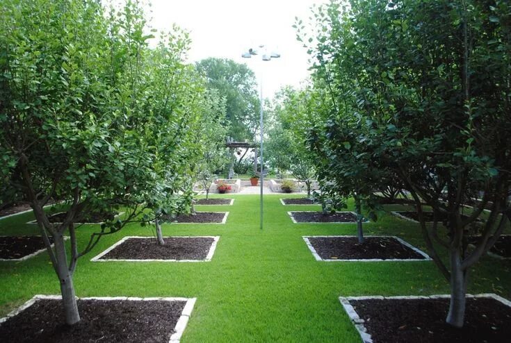 Посадка деревьев на участке фото Orchard and Vegetable Garden - Gardenista Tree garden design, Orchard garden, Fr